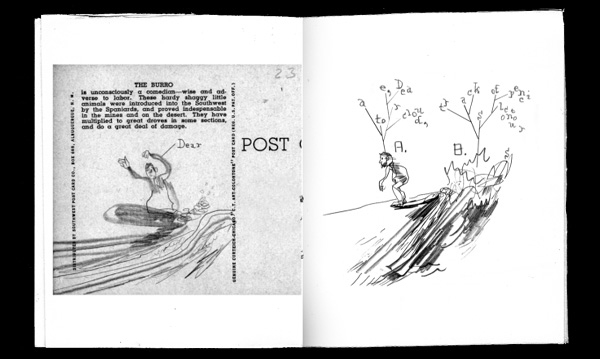 seed toss, new waves (pages 4 and 5)