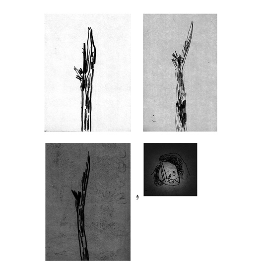 Day 8