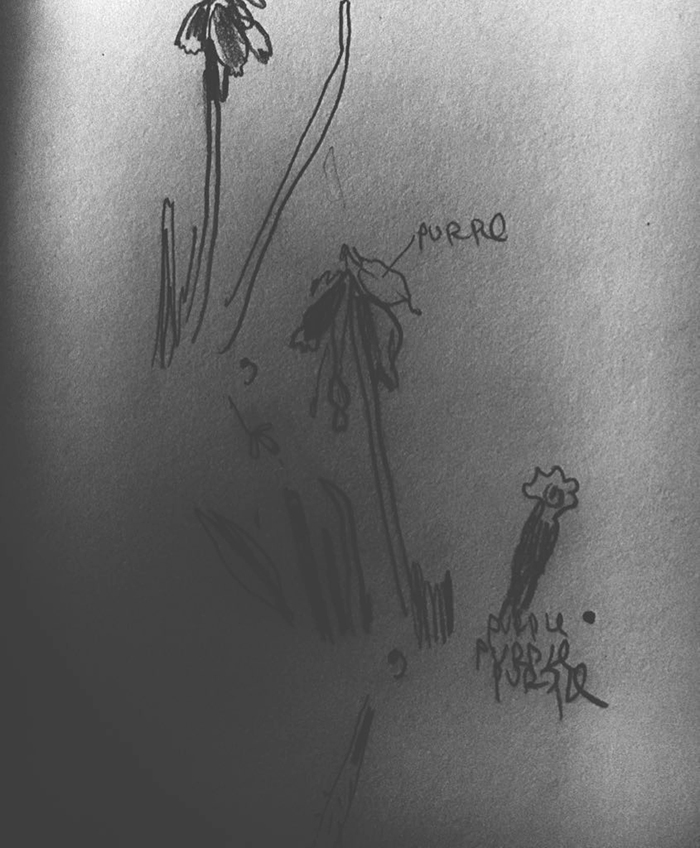 drawing of news