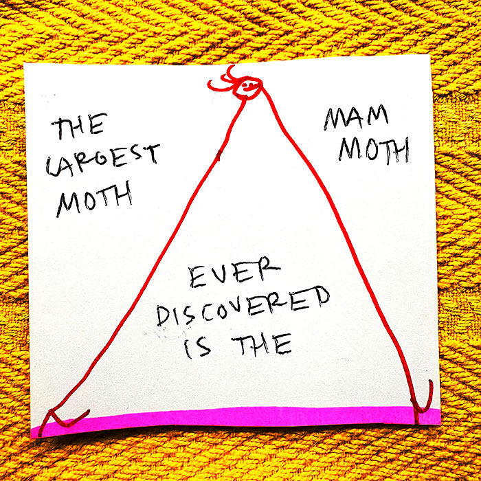 lunch note of weird drawing