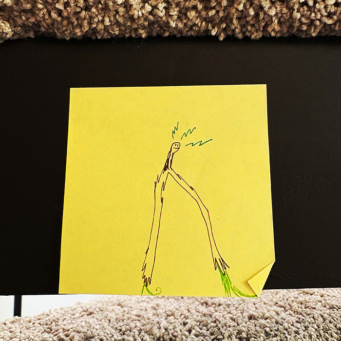 seed toss