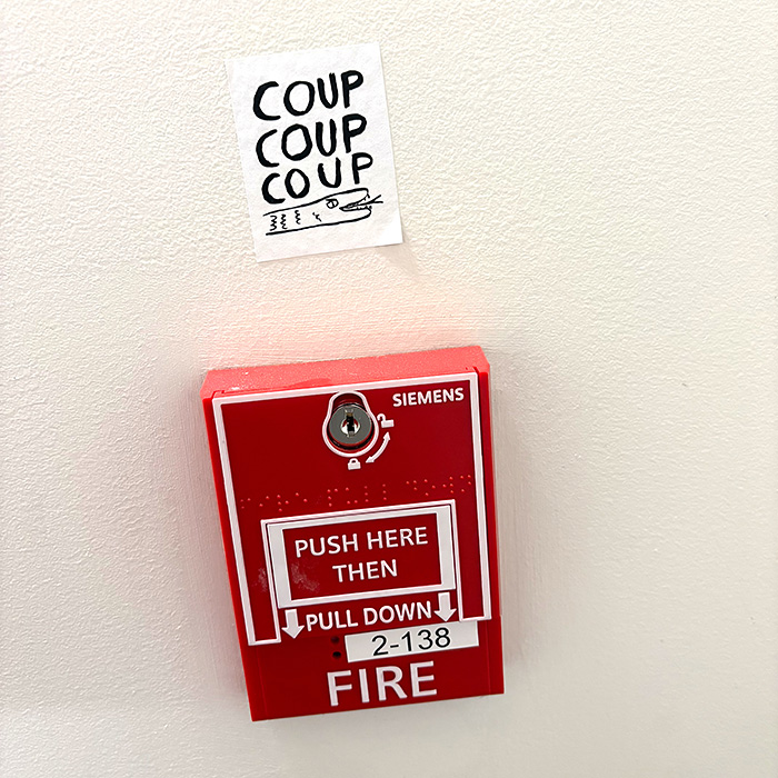 seed toss
